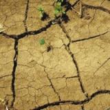 Drought hits Ukraine grain industry
