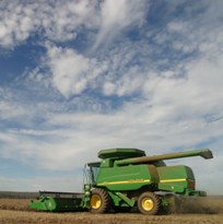 US soybean acreage drops to 12-year low
