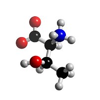 Hungarian L-Threonine production boosted