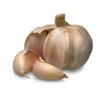 Methane emissions cut by feeding garlic