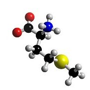 Organic broilers need more methionine