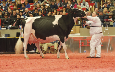 Photo Report: Canadian grabs awards in Madison