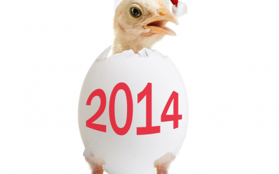 2014: All about mycotoxins, insects and antibiotics