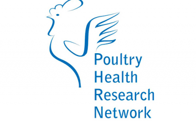 Poultry Health Research Network appoints new coordinator