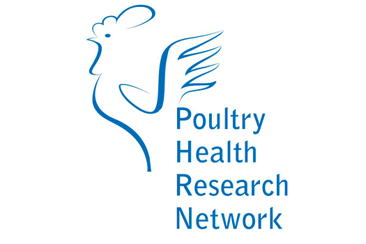 Poultry Health Research Network appoints new coordinator