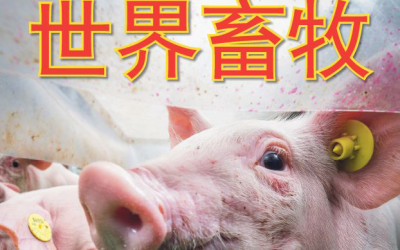 AllAboutFeed launches second Chinese edition