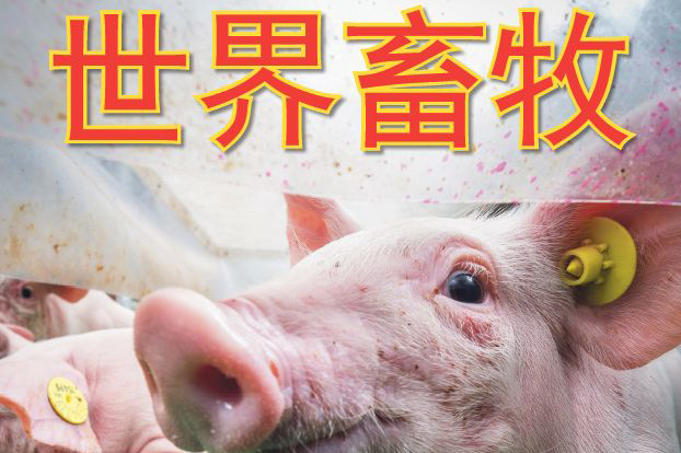 AllAboutFeed launches second Chinese edition