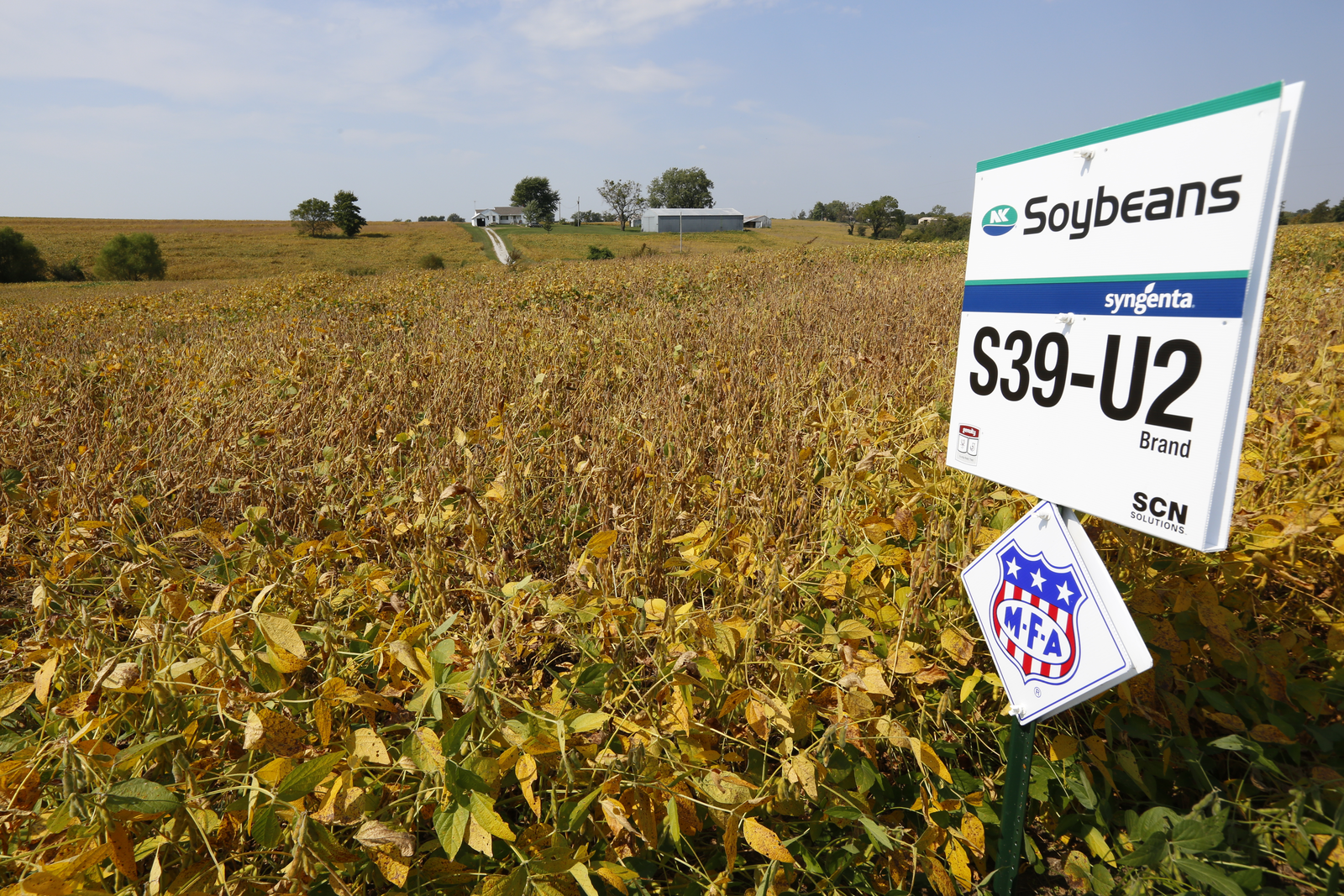 RTRS: 10 million tonnes of responsible soy by 2017