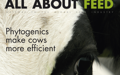 Newly designed AllAboutFeed magazine now online