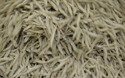 Cargill invests $30 million in Ecuador shrimp feed facility