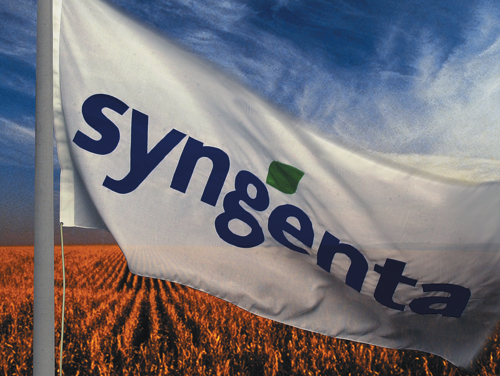 Monsanto offers more money for Syngenta