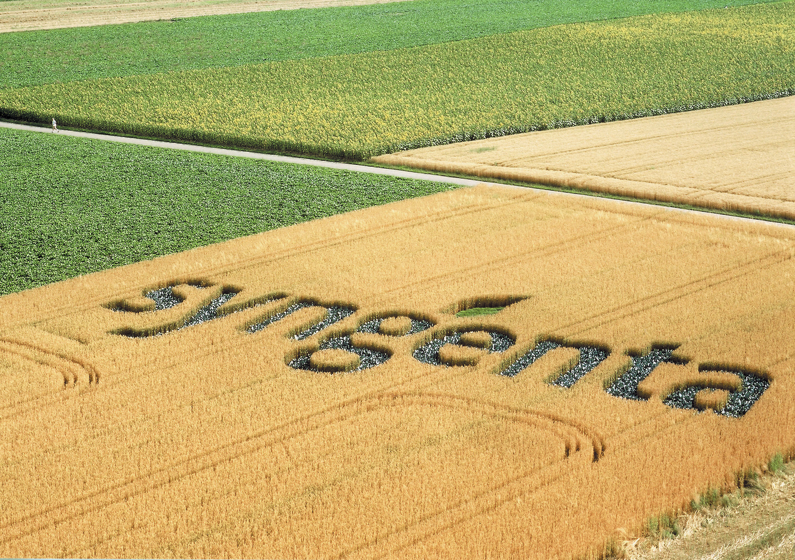 Monsanto pulls out of Syngenta takeover