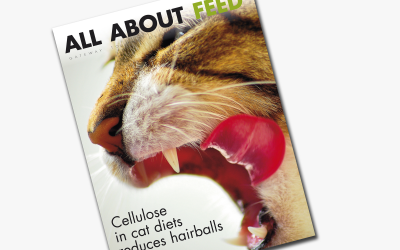 September issue All About Feed now online