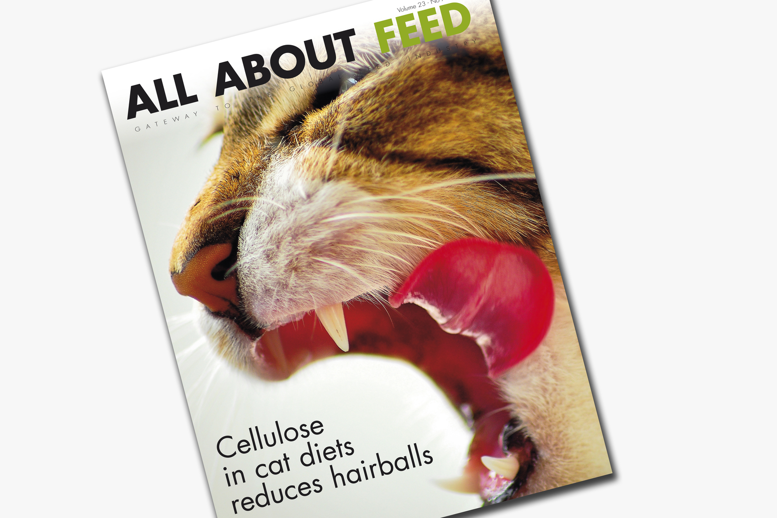 September issue All About Feed now online