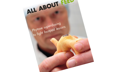 New issue of All About Feed now online