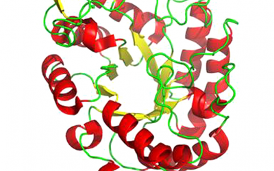 Deleloping enzymes to deliver current adn future values