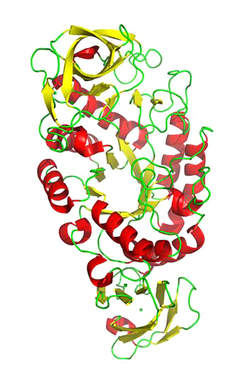 Deleloping enzymes to deliver current adn future values