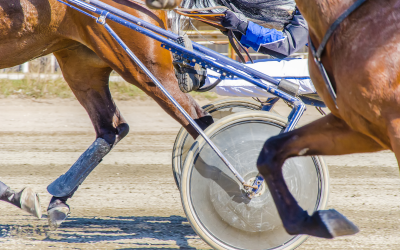 Race horses perform ( better with beta-glucans