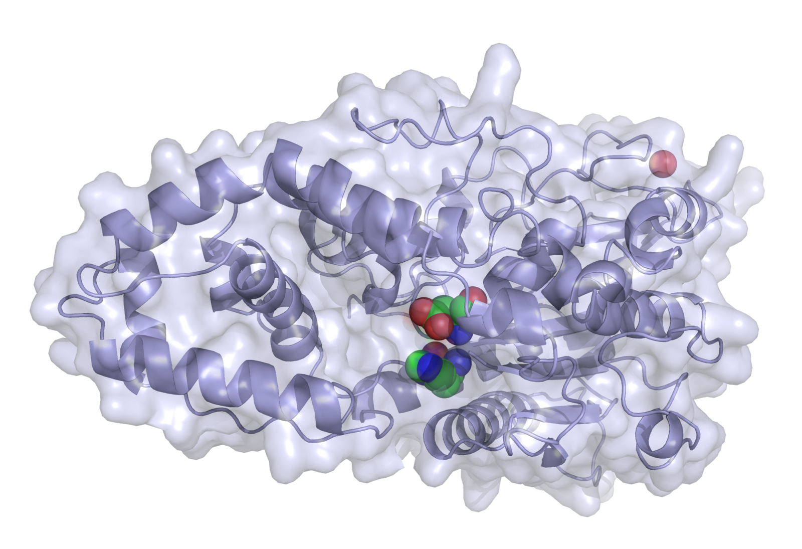 Understanding phytase characteristics to differentiate products