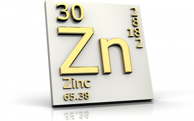 Understanding the zinc pathways in animals