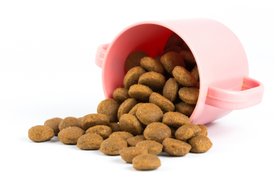 The positive effects of butyrate can be achieved by adding fermentable fibre to the pet diet.