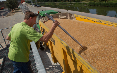 Feed ingredients collected worldwide are fingerprinted by the laboratory of AVEVE Biochem