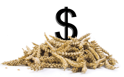 Mycotoxins: What does it really cost?