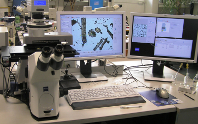 Analytical methods to test for ruminant PAPs