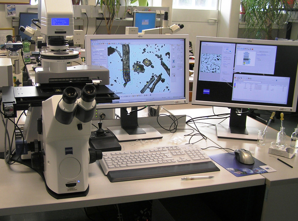 Analytical methods to test for ruminant PAPs