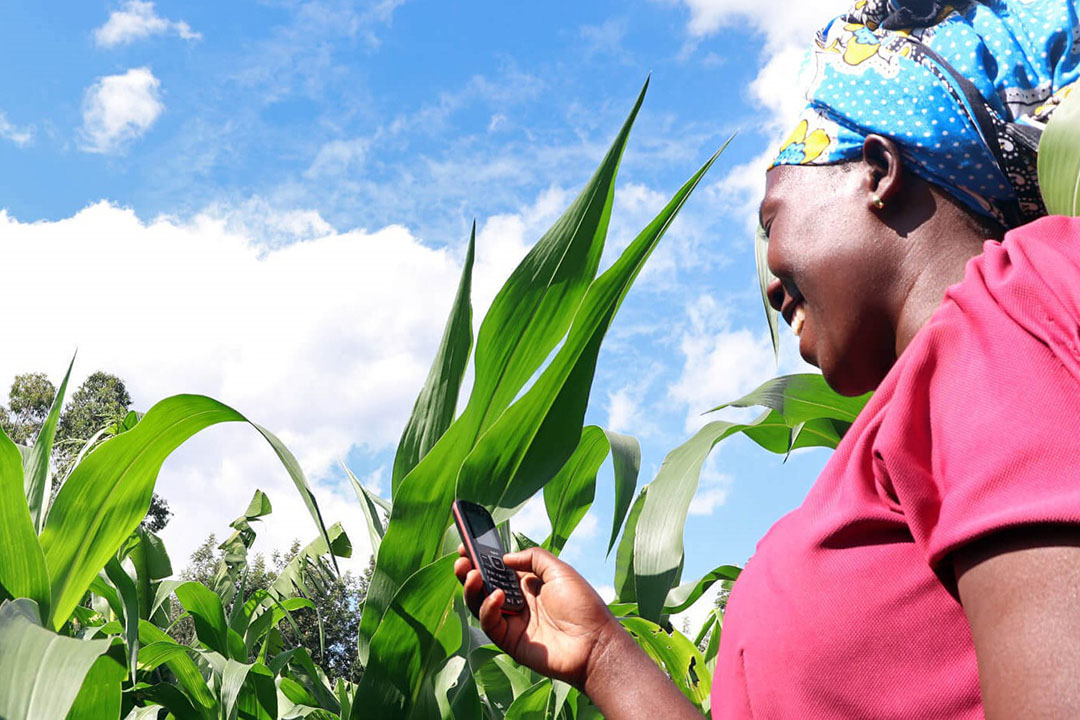 Farmers can sign up for the free SMS alerts with any mobile device. Photo: Selina Wamucii