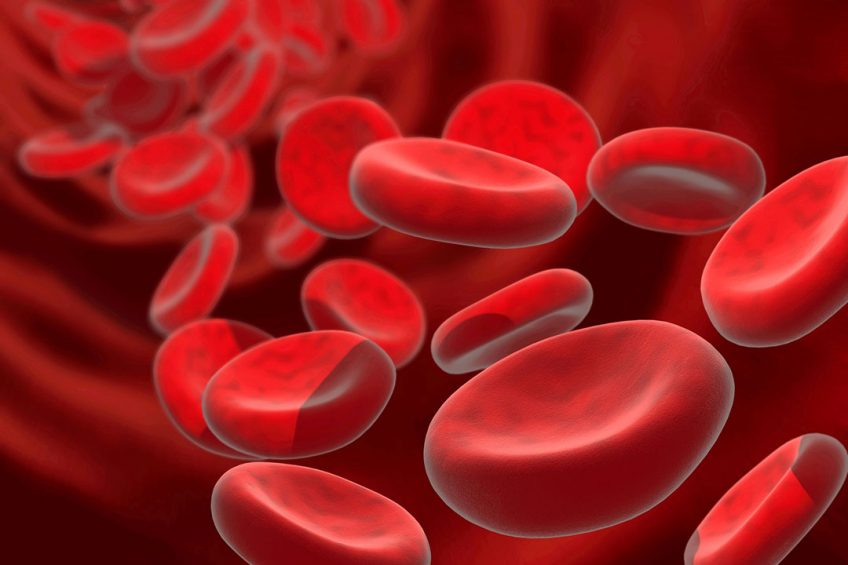 Artist’s impression of red blood cells. Illustration: Dreamstime