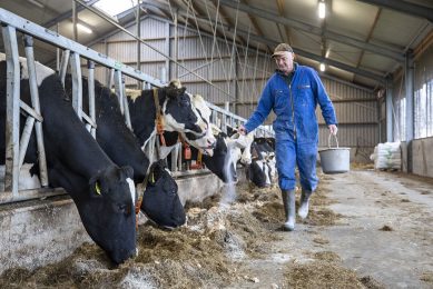 Dairy farmer Henk van der Veen from Surhuizum uses slow-release urea and Protispar from Speerstra Feed Ingredients. This is 30% cheaper than additional rapeseed. He notices a slight increase in the levels. Photo: Anne van der Woude