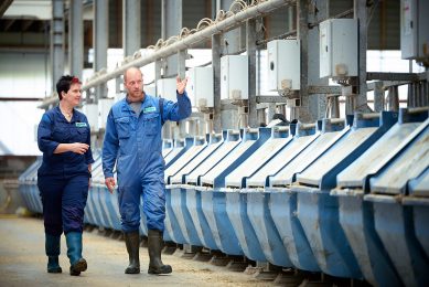 Scientists measure methane emissions in special feeding troughs. Photo: Wageningen University & Research