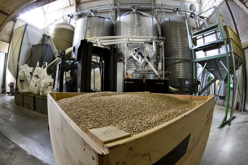 ABN currently operate 11 mills in the UK and the proposed new mill will have the capacity to produced 1 million tonnes of pig and poultry feed per year. Photo: Ruud Ploeg