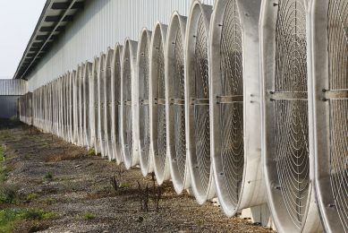 Sufficient and good ventilation are of the utmost importance to ensure a pleasant house climate during hot summer days. Photo: Henk Riswick