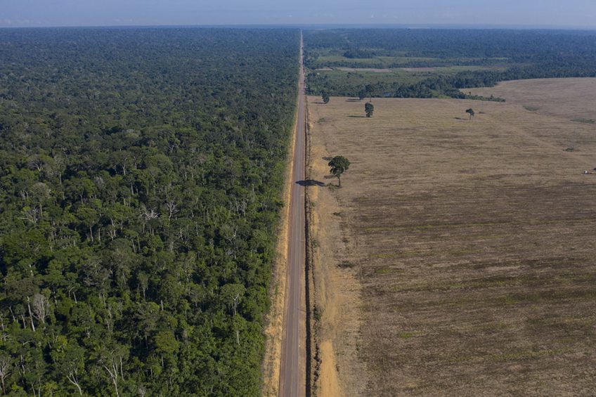A highway in Brazil that runs between the Tapajos National Forest on the left and a soy field on the right. Photo: ANP