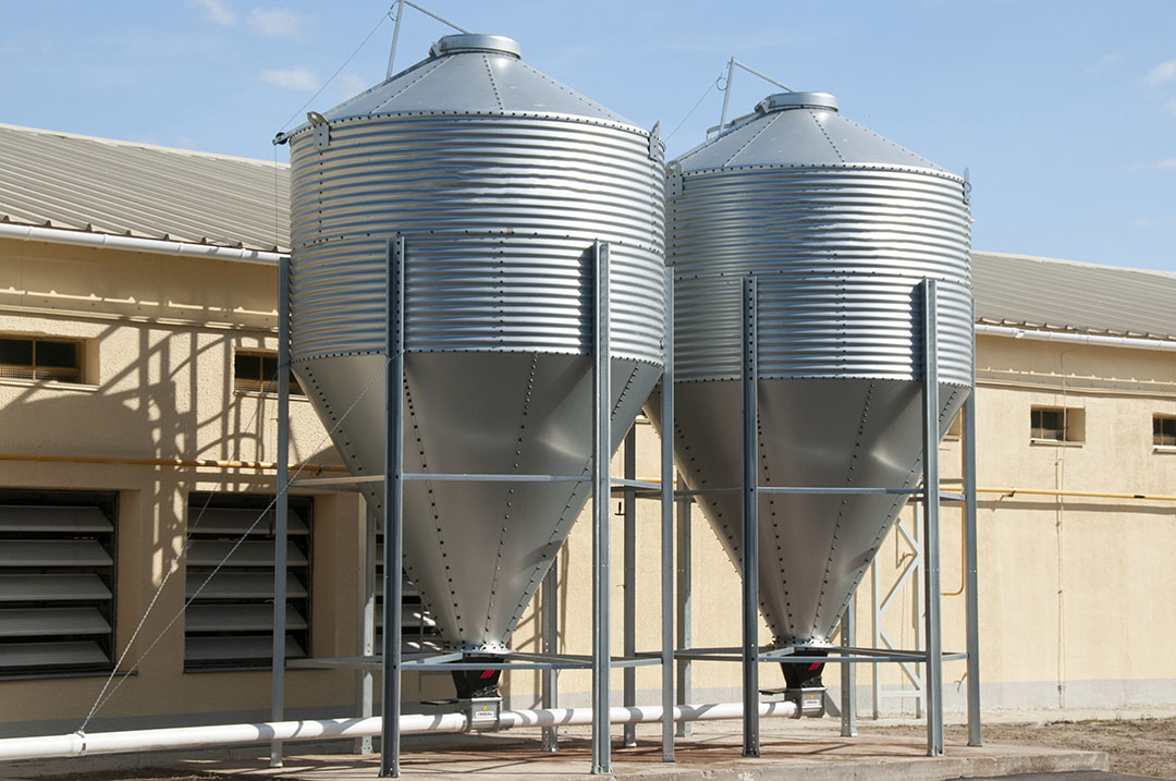 Feeding solutions are not very popular way of dealing with heat stress in Russia. Photo: Vladislav Vorotnikov