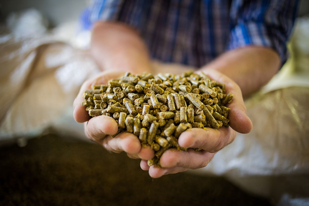 Fats and oils are important energy sources in feed formulations due to their high energy density. Photo: ORFFA