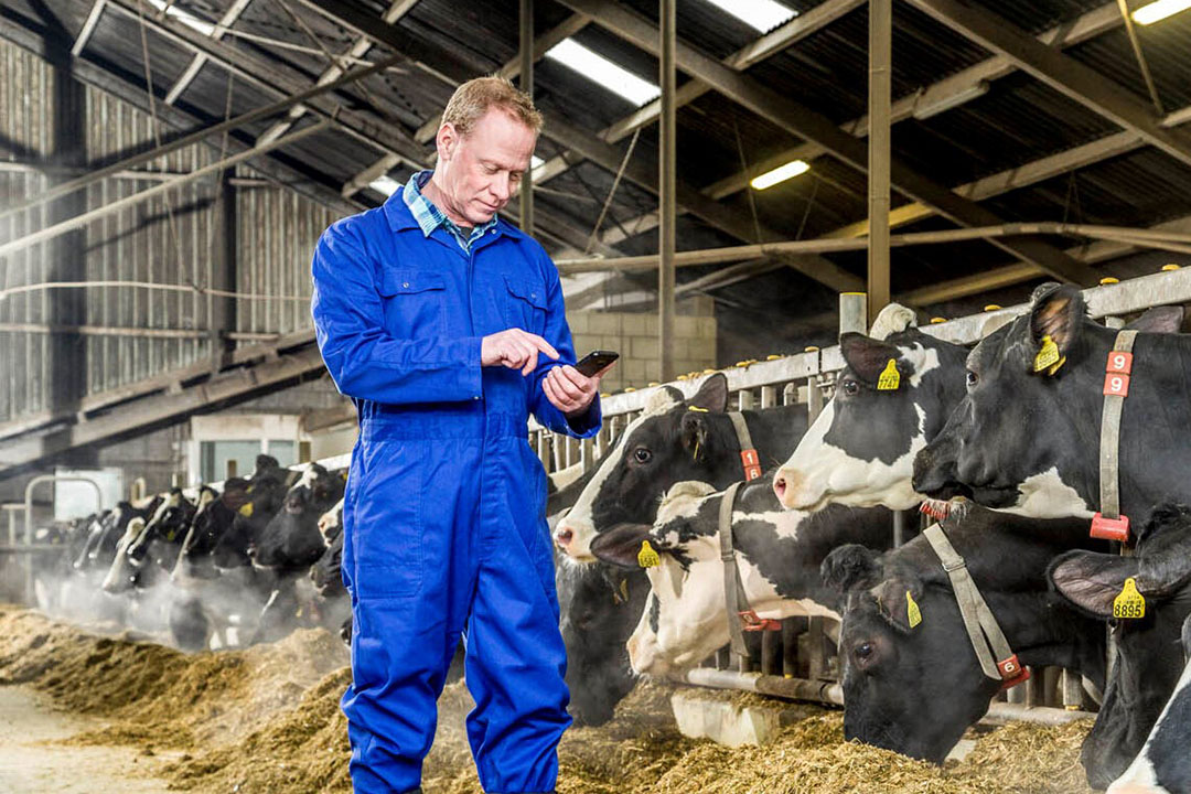 Digital revolution kicks off in animal feed sector - All About Feed