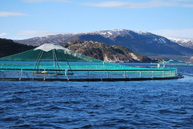 sustainable fish feed Photo: Anders Kiessling