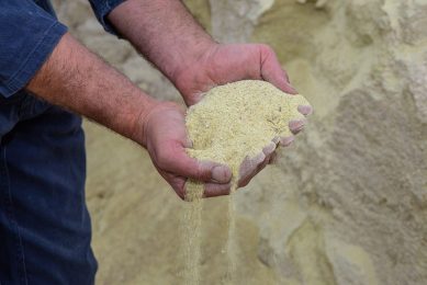 The Brazilian government attempts to calm down the livestock sector, which has been asking for tax cuts on grain imports. Photo: Peter Roek