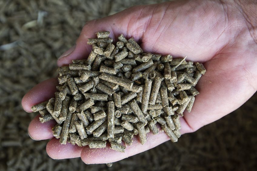 How do raw materials affect animal production and can enzymes help? - All  About Feed