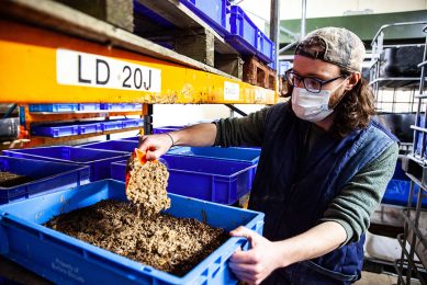 Joe Halstead, Managing Director of AgriGrub feeds food waste to insects. Photo: Electric Robin
