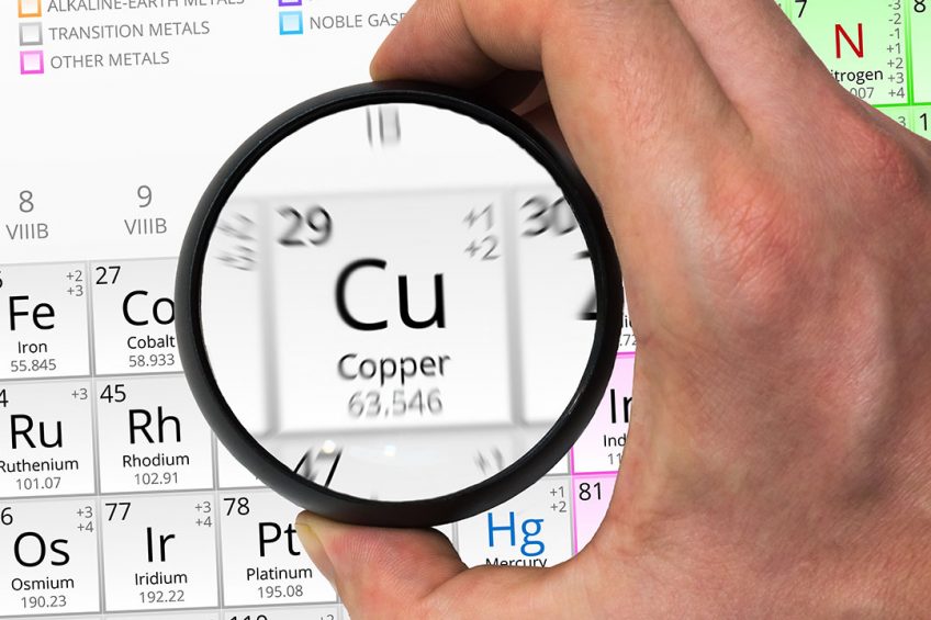 Inclusion of copper in animal diets is common practice in the industry. Photo: Shutterstock
