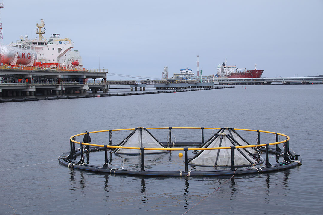 New modern fish farms are being established in the country. Photo: Transneft