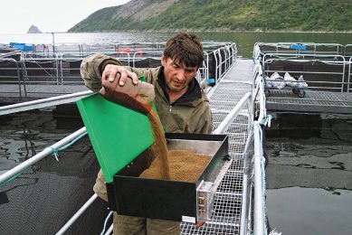 The quality of fish feed is a matter of major concern in Russia. Photo: Russian Fish
