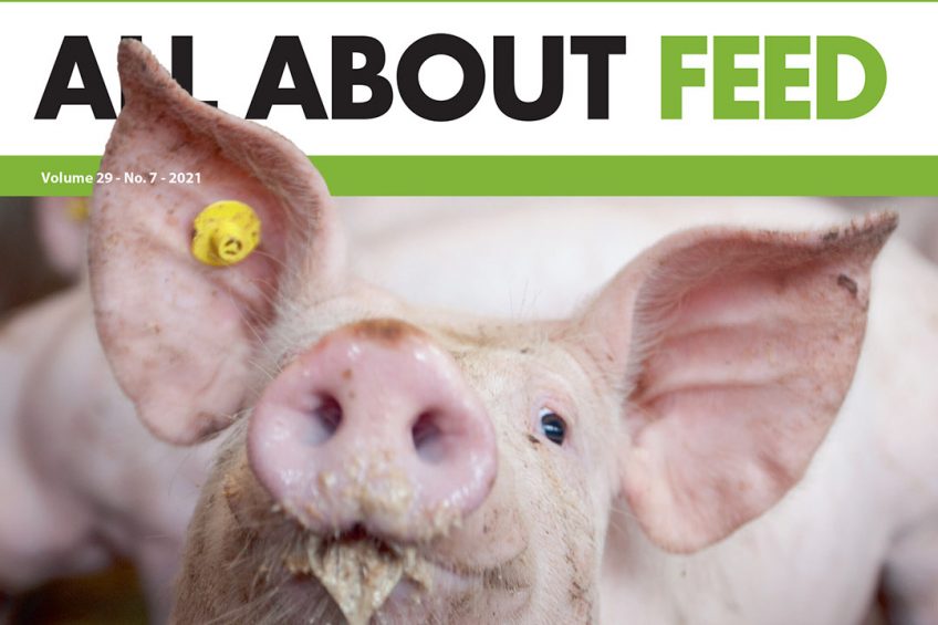Introducing the 7th edition of All About Feed for 2021