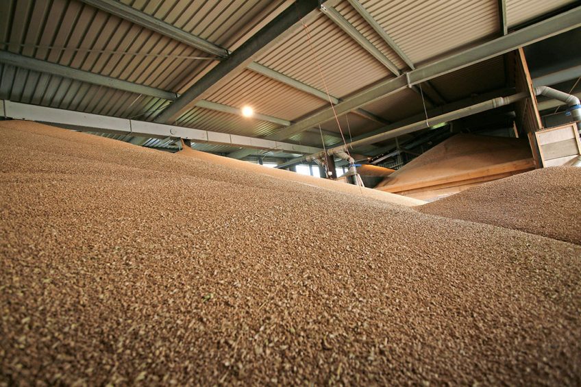 Kazakhstan bans feed exportsand caps on grain exports. Photo: Joris Telders