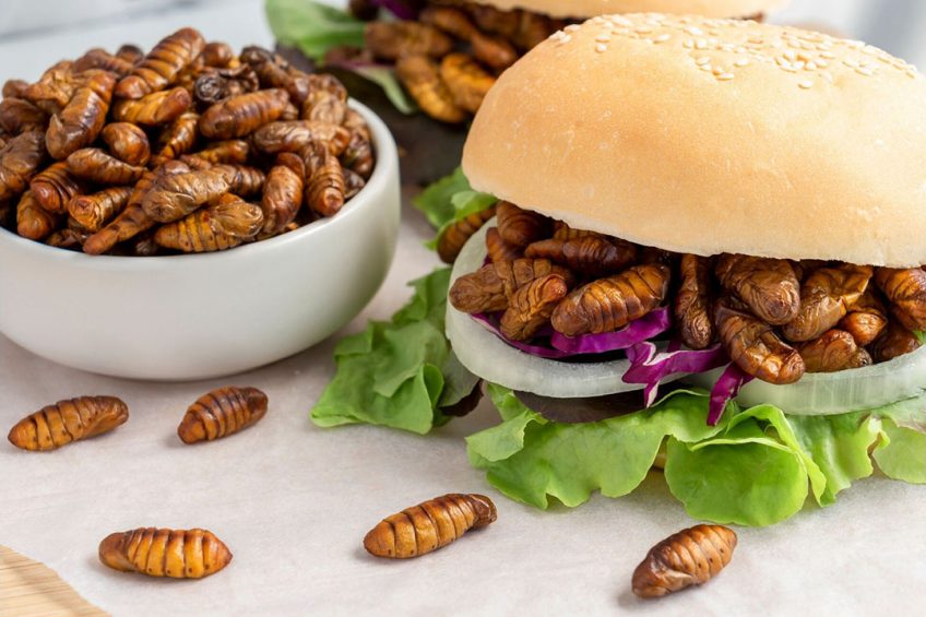 Insects as food vs feed to better combat global warming Photo: Canva