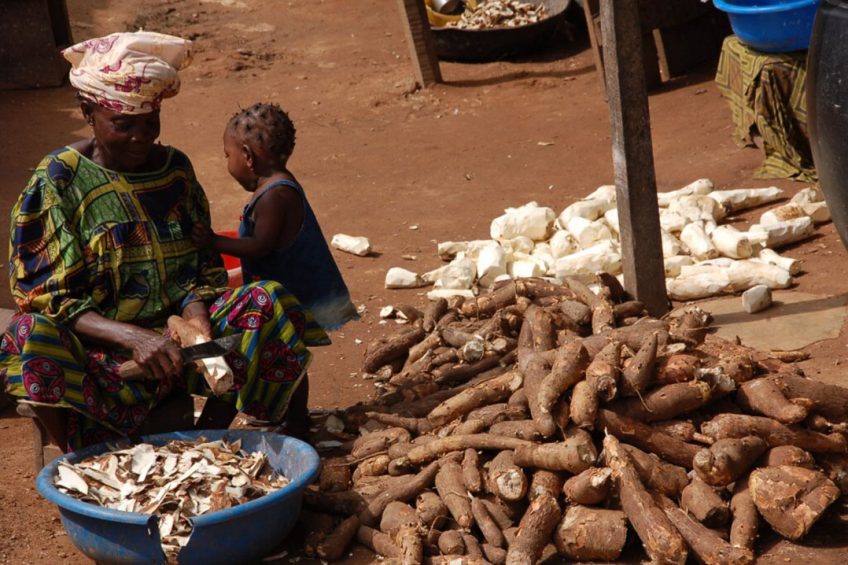 A woman in Nigeria peels cassava in preparation for processing. Photo: Adebayo O. T, IITA